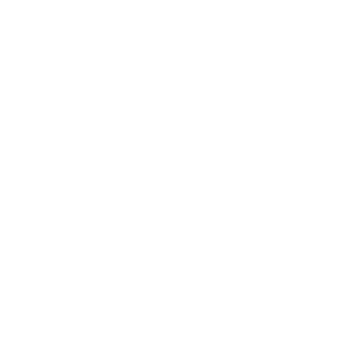 logo 2 1